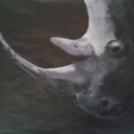 Rhino painting